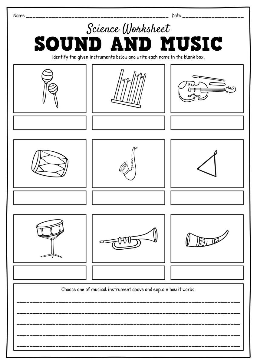 13 Science Worksheets Light And Sound Free PDF At Worksheeto