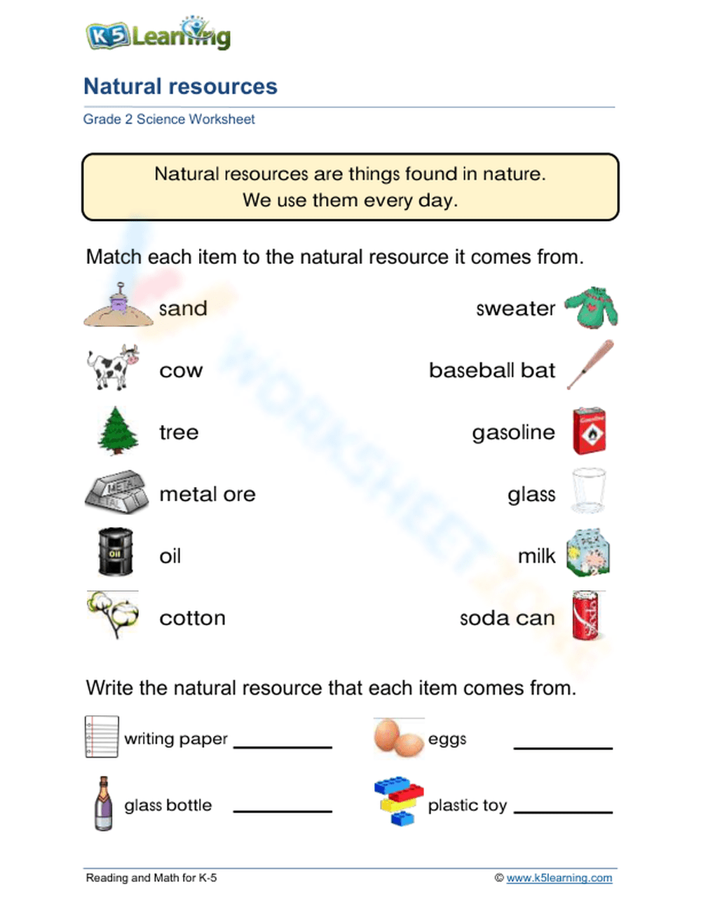 Engaging Science Worksheets For 1st 2nd And 3rd Grade Made By Teachers