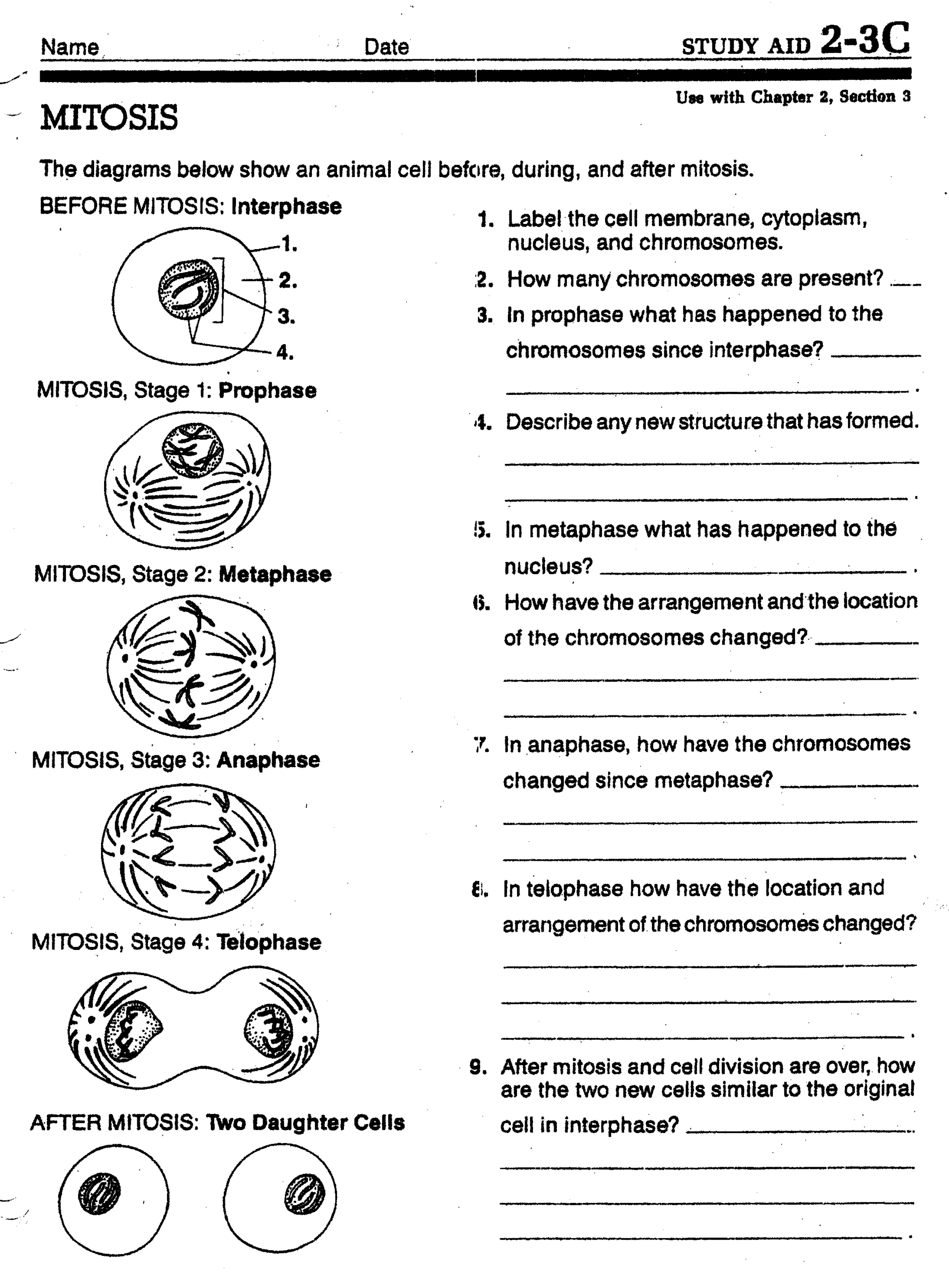 31 Mitosis Meiosis Ideas To Save Today Mitosis Meiosis Biology Lessons And More