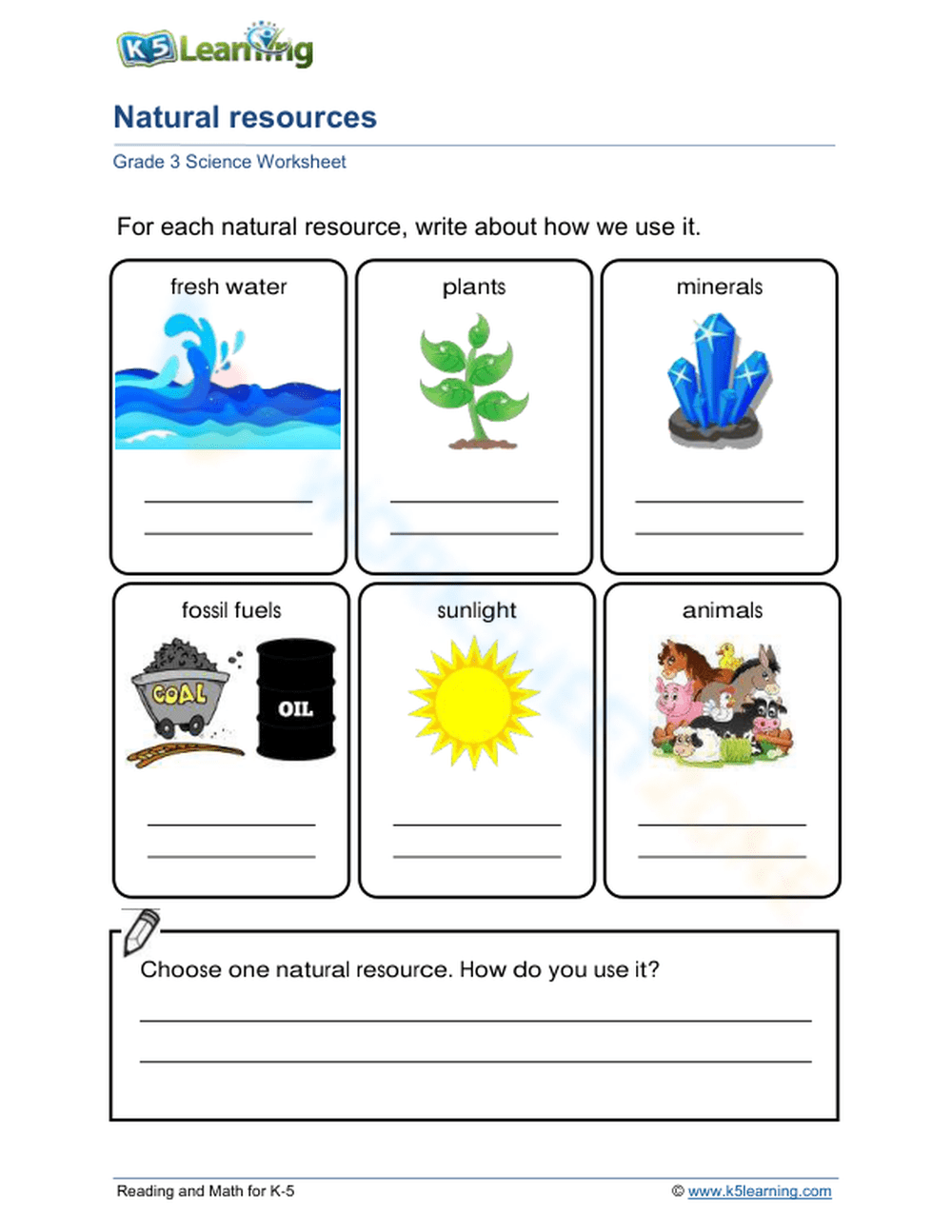 2nd Grade Environment Worksheets