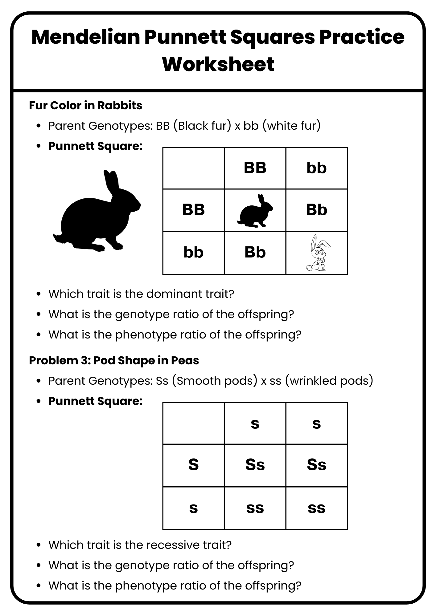 9 Hands On Worksheet Punnett Square Worksheet The Teach Simple Blog
