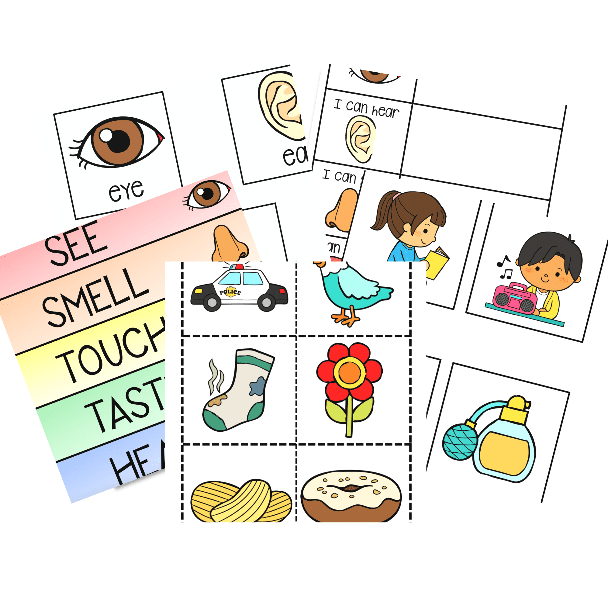 5 Senses Activities Active Littles FIVE SENSES Word Search Puzzle Worksheet Activity By Easy Teaching Workshop