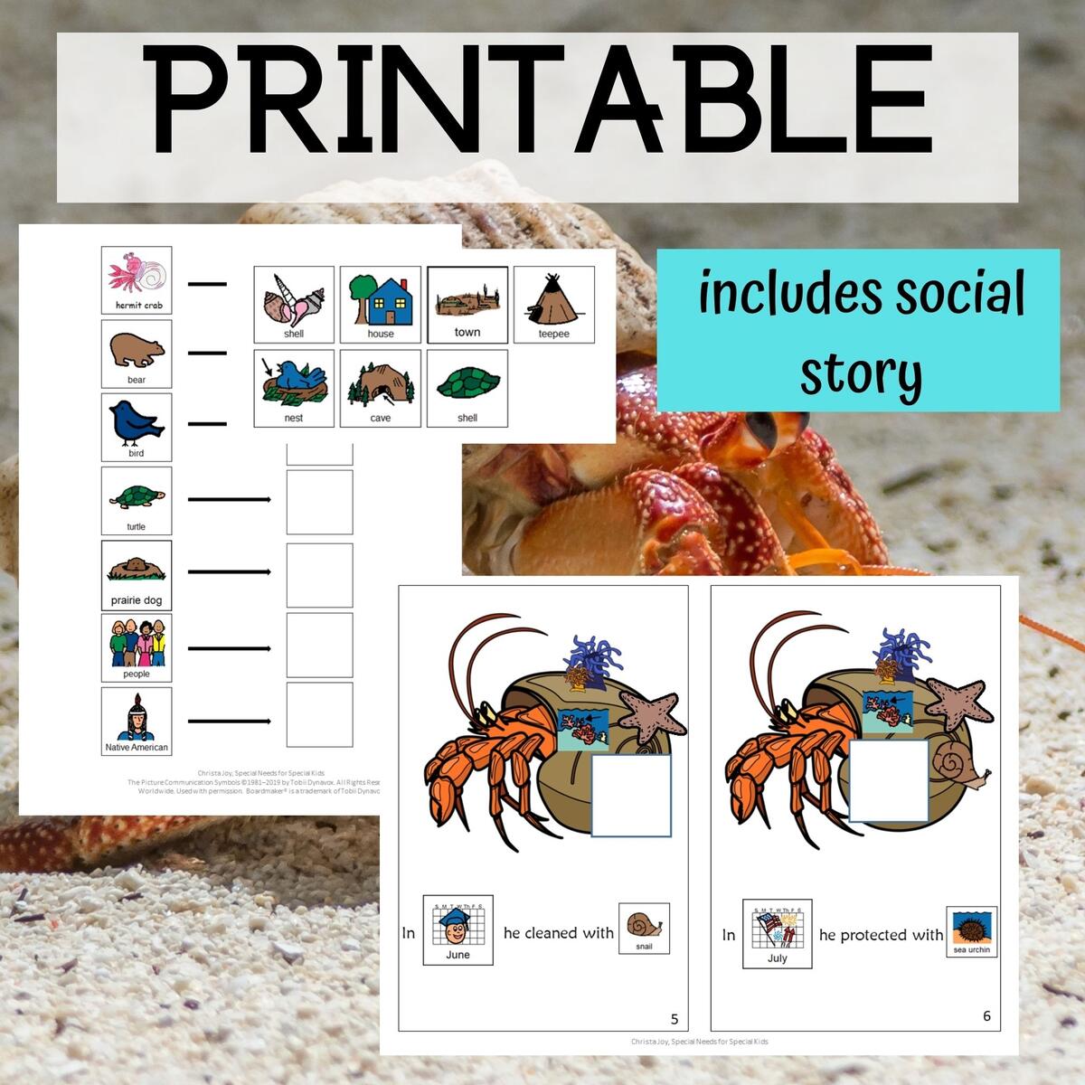 A House For Hermit Crab For Special Education PRINT AND DIGITAL Special Needs For Special Kids