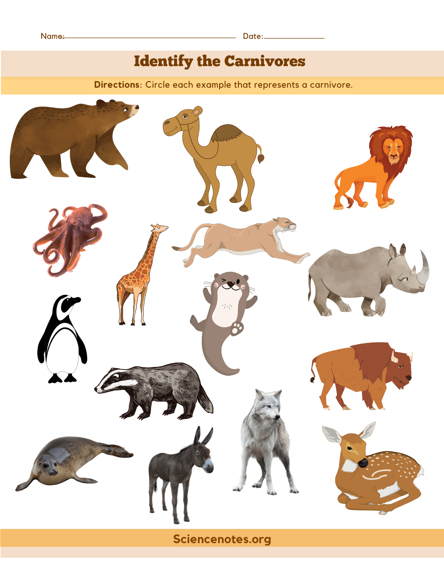 Animal Worksheets Animal Worksheets