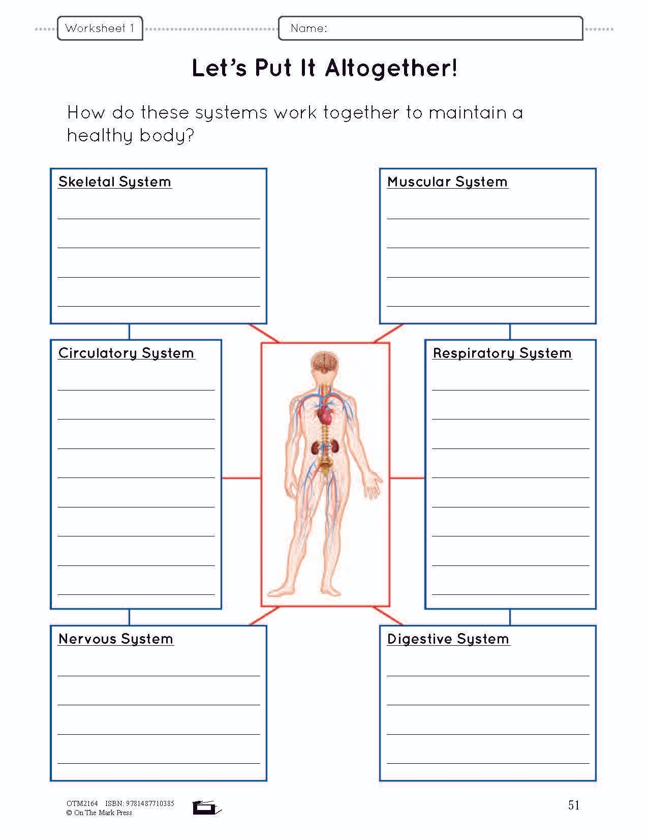 Body Systems Lesson Worksheets E Lesson Plan Grade 5 Worksheets Library