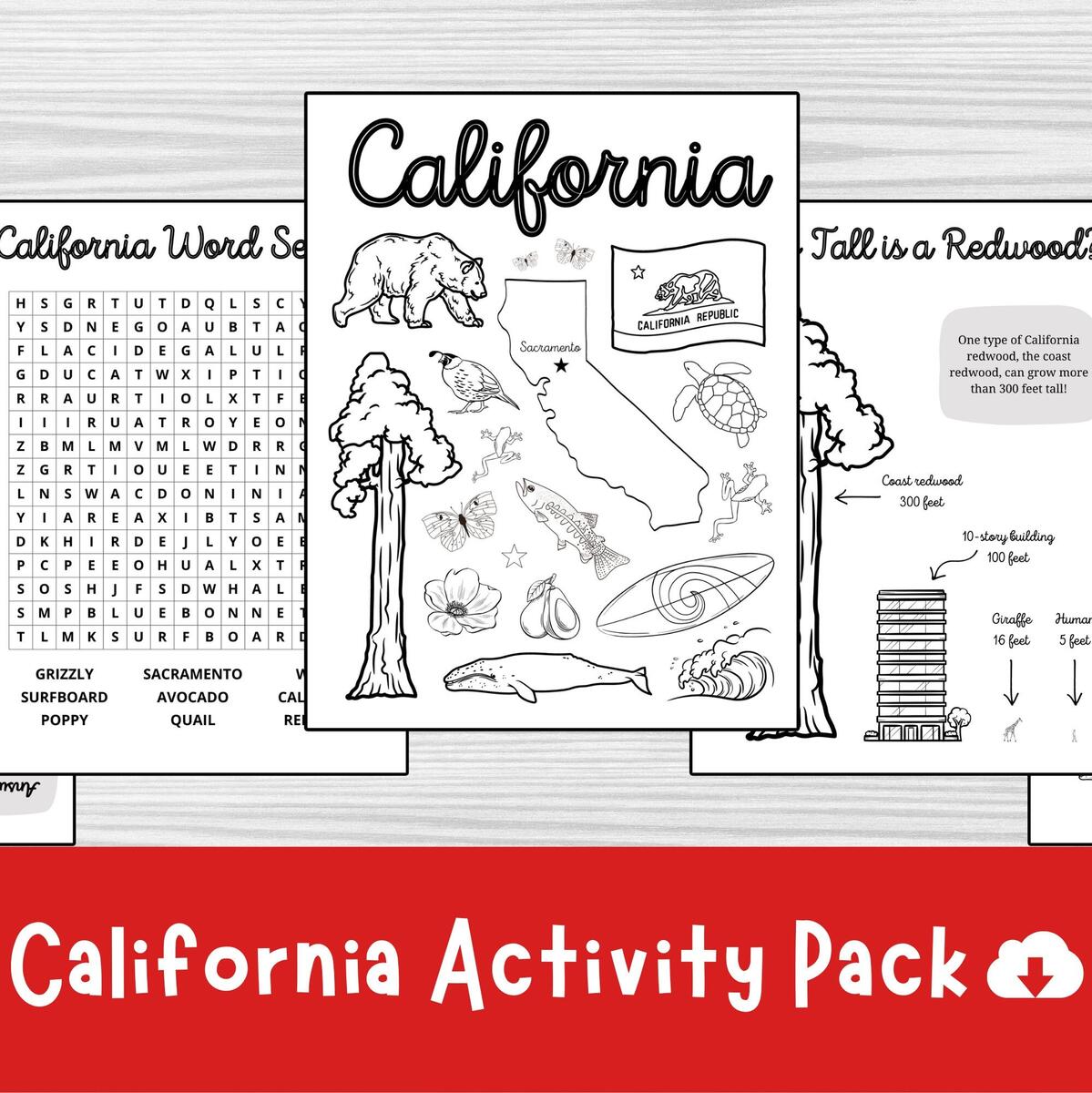 Exploring The United States Puzzles Activities And Map Work Volume 4 Made By Teachers