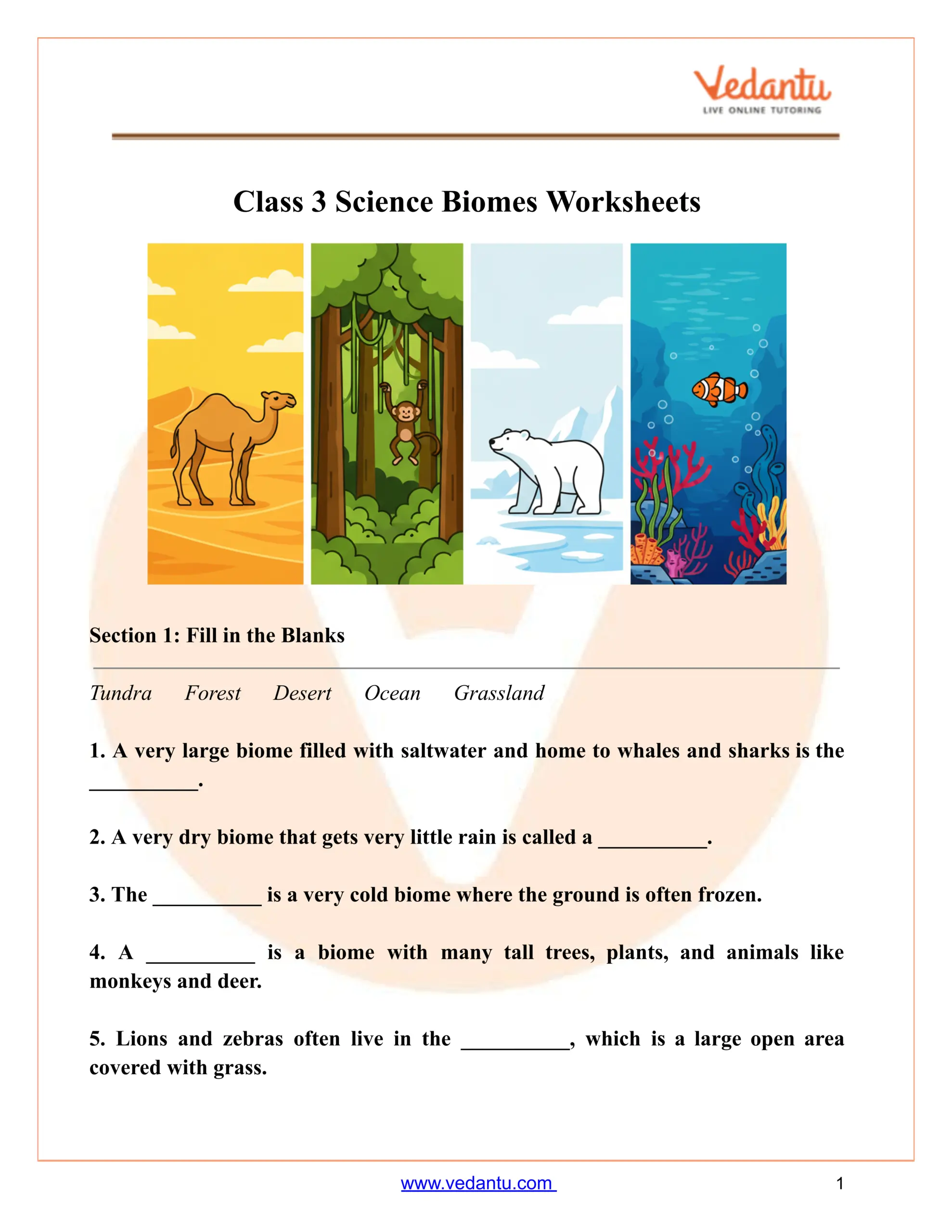 Free Science Worksheets The Nervous System Adanna Dill