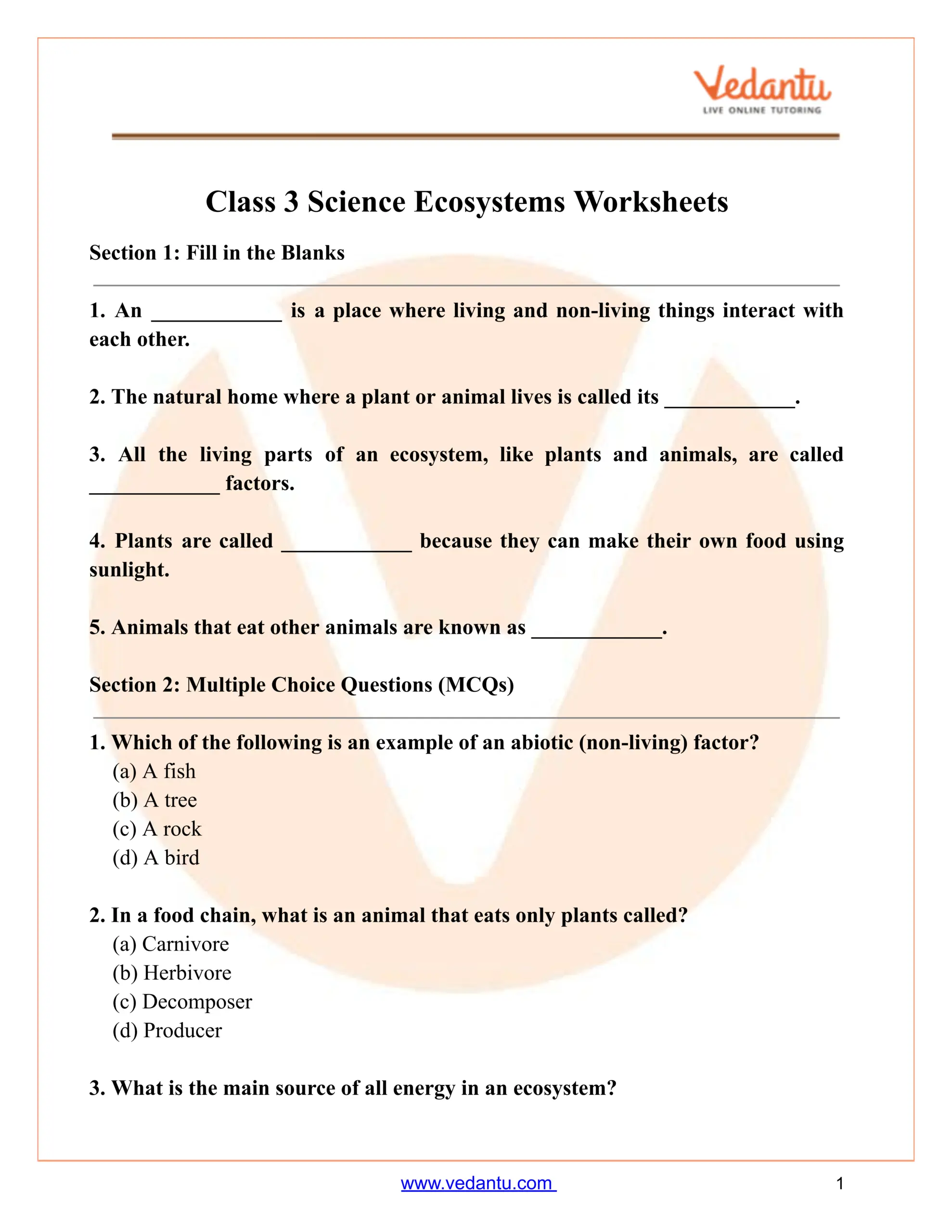 Class 3 Science Ecosystem Worksheet With Answers Free PDF
