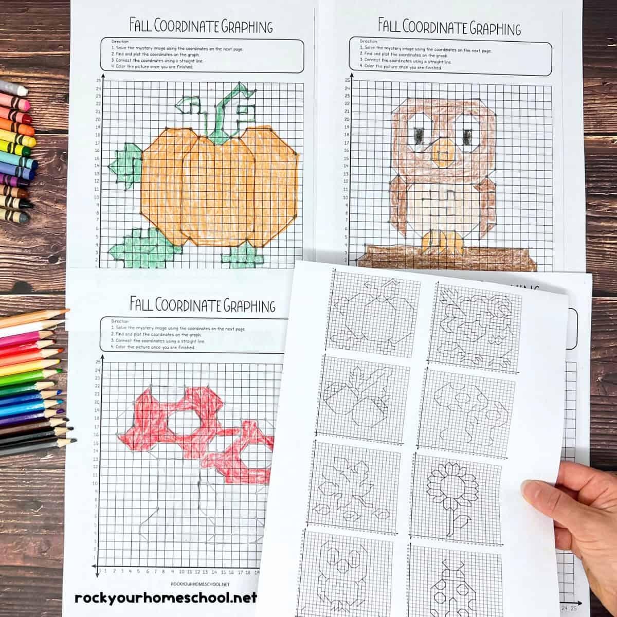 Coordinate Graphing Pictures How To Use For Fall Fun Free Rock Your Homeschool 4 Free Spring Graphing Coordinate Plane Worksheets Our Family Code
