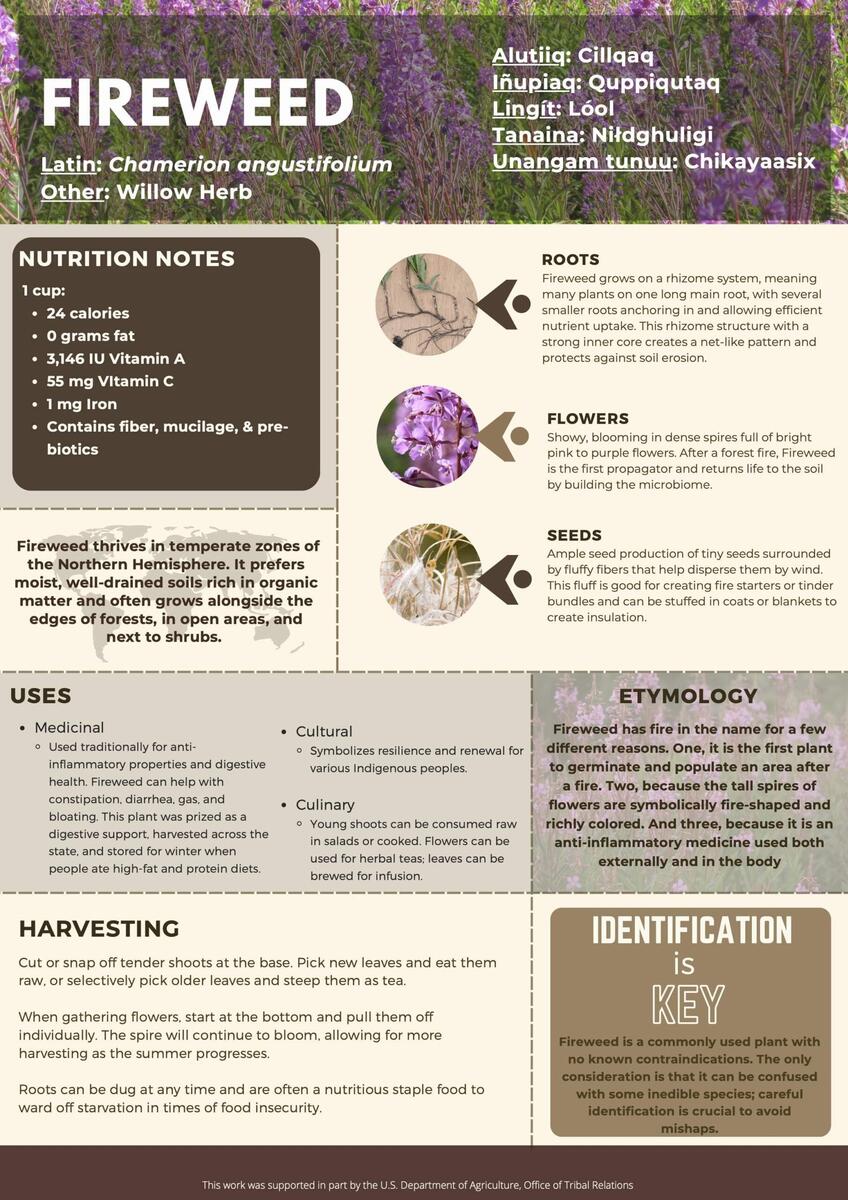 Fireweed NATIFS Printable Low Sulfur Food List Sulfur Intolerance H2S SIBO Low Sulfur Diet Hydrogen Sulfide SIBO Sulfur Sensitivity Elimination Diet Etsy
