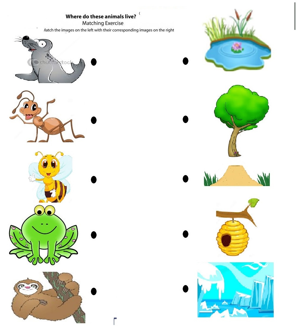 Free Animals Homes Worksheet Download Free Animals Homes Worksheet Png Images Free Worksheets On Clipart Library Free Animals Homes Worksheet Download Free Animals Homes Worksheet Png Images Free Worksheets On Clipart Library