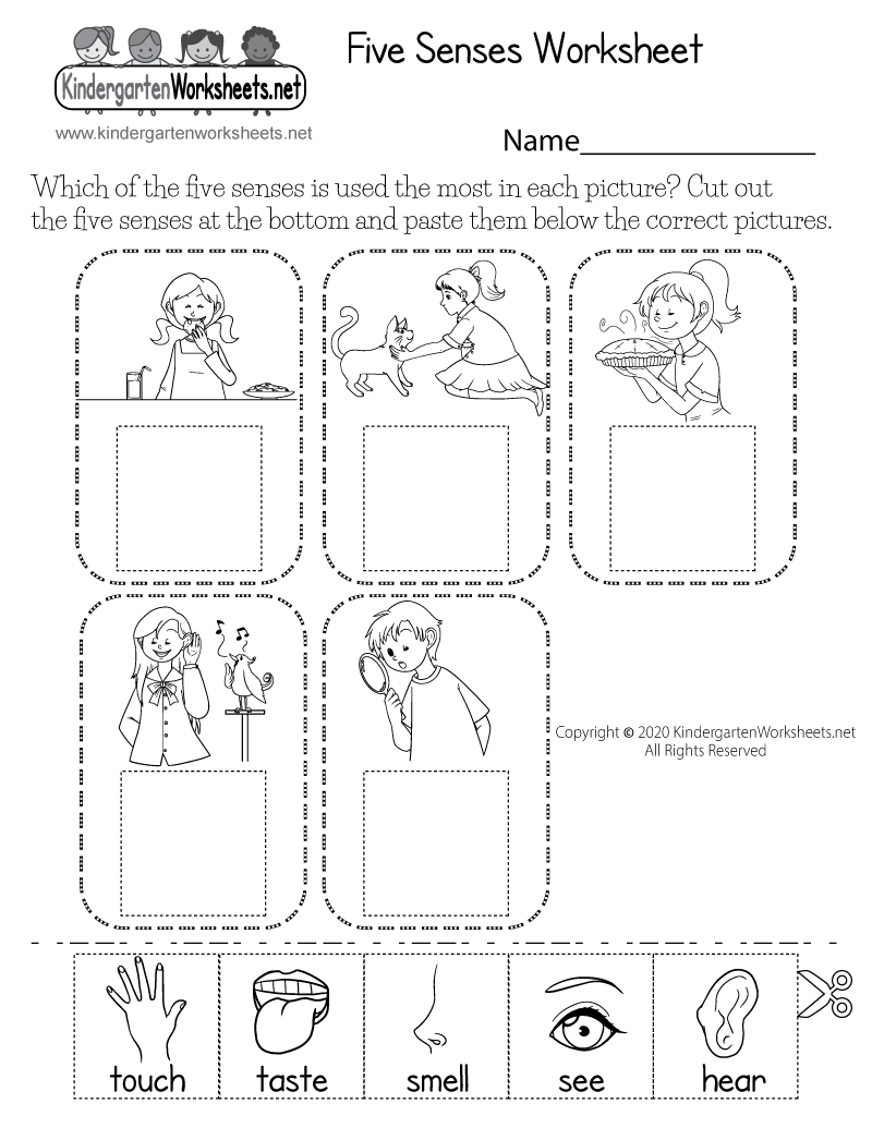 Free Printable Cut And Paste Five Senses Worksheet The Five Senses Worksheet Education World