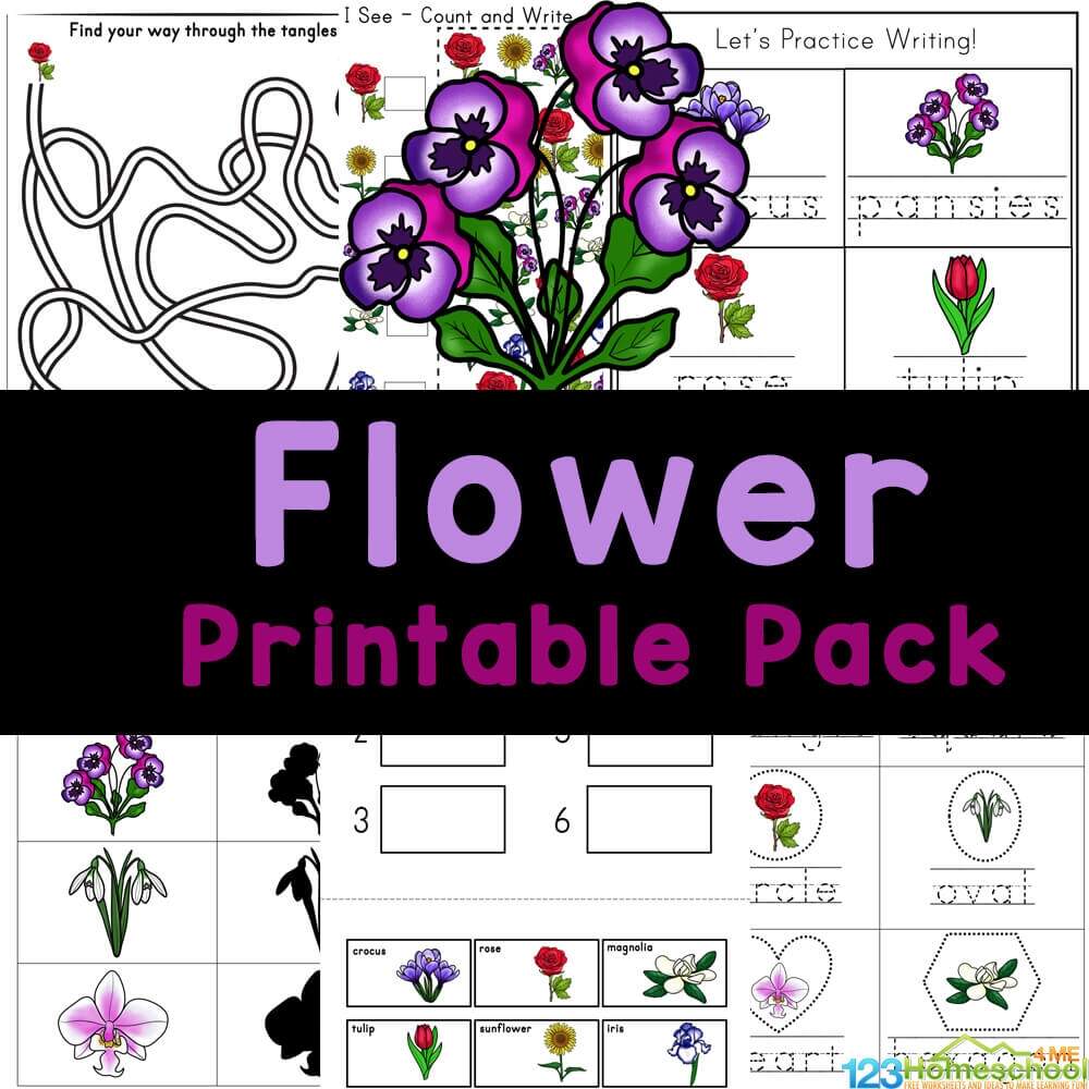 Free Preschool Flower Cutting Skills Worksheet
