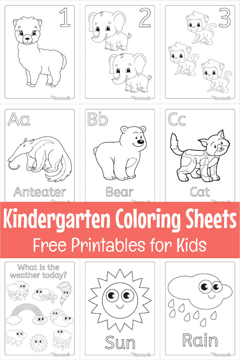Color By Sight Word Worksheet Free Printable Digital PDF