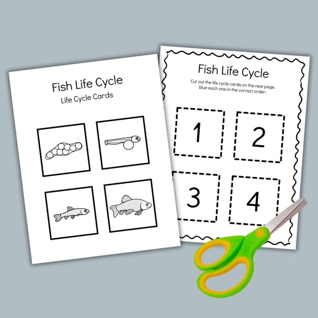 Free Printable Life Cycle Of A Fish For Kids Worksheets