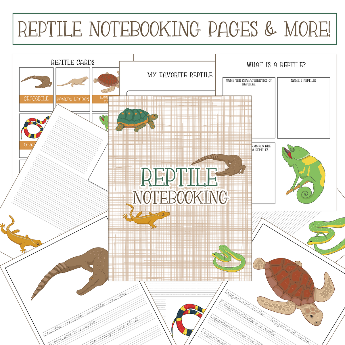 Free Reptiles Worksheets Kids Love With Printables