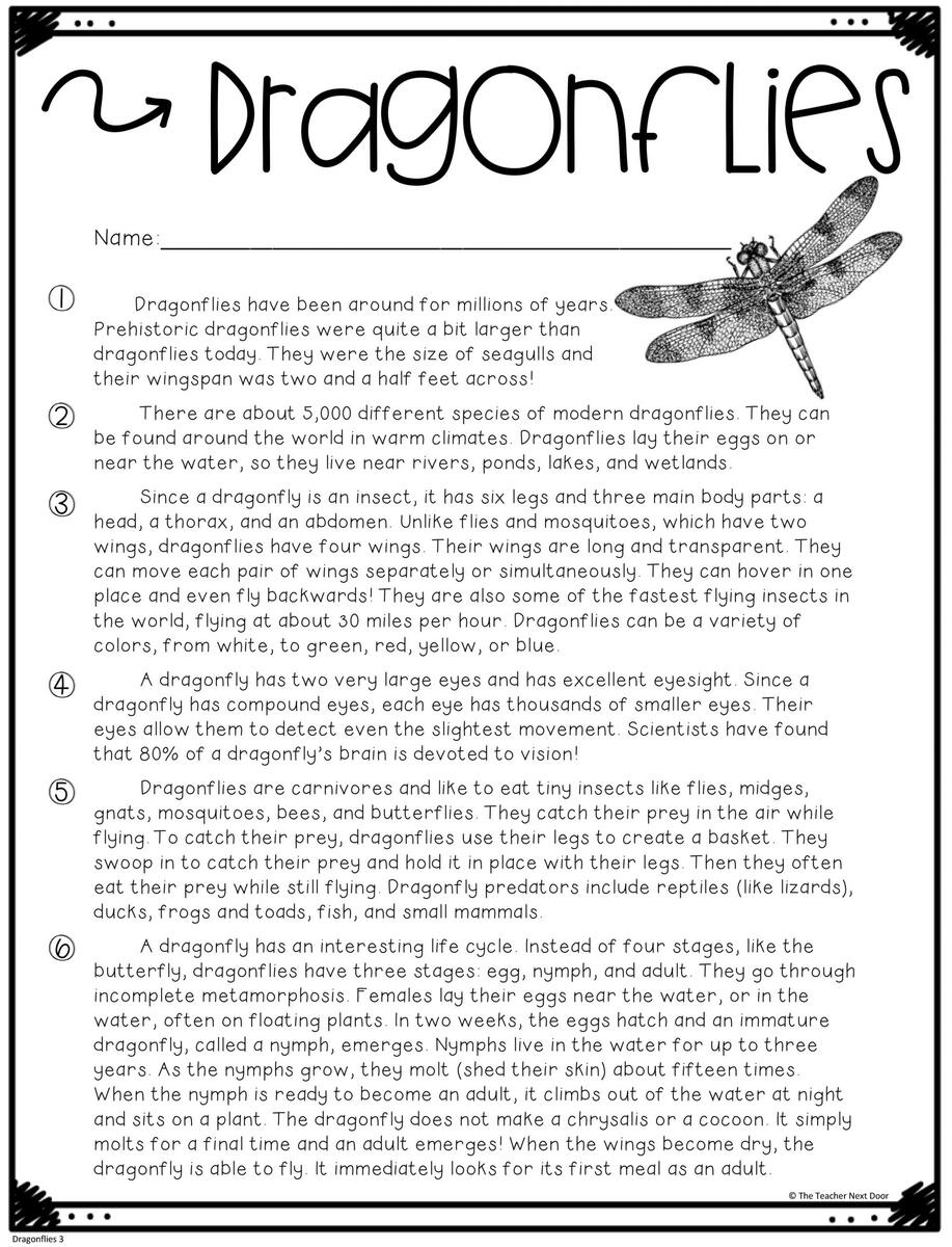 FREE Text Evidence Color Coding Passage Print And Digital The Teacher Next Door Printable 5th Grade Text Evidence Worksheets Download