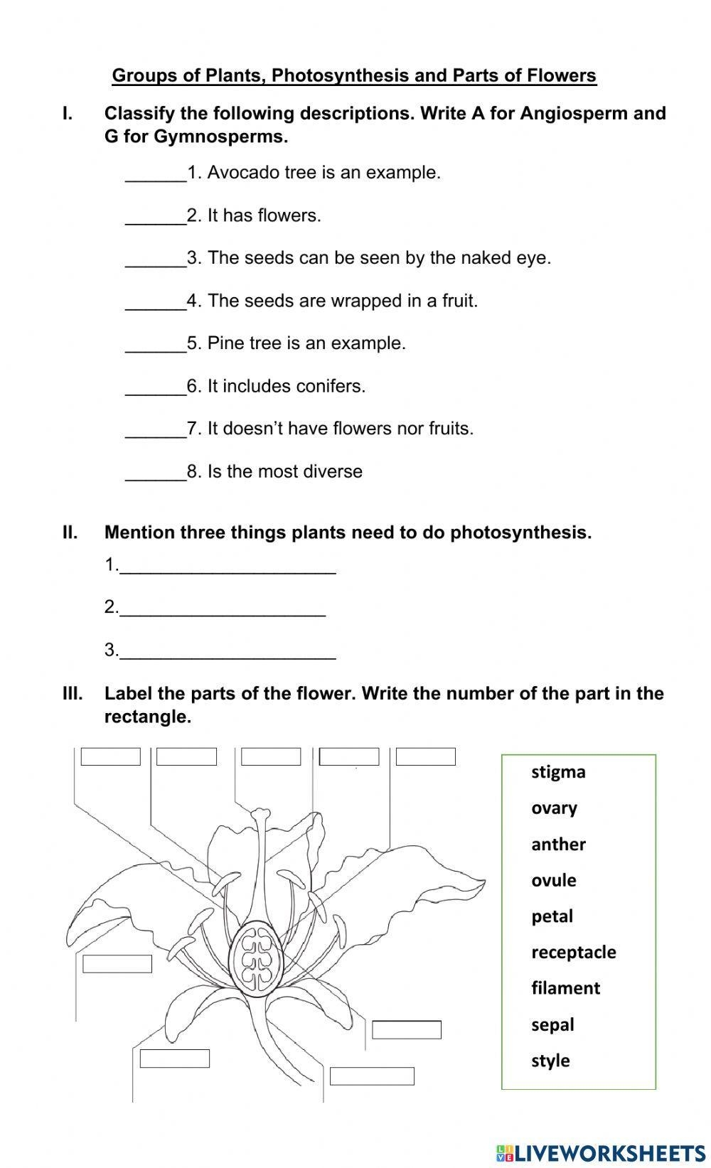 Angiosperms And Gymnosperms Worksheet Worksheets Library