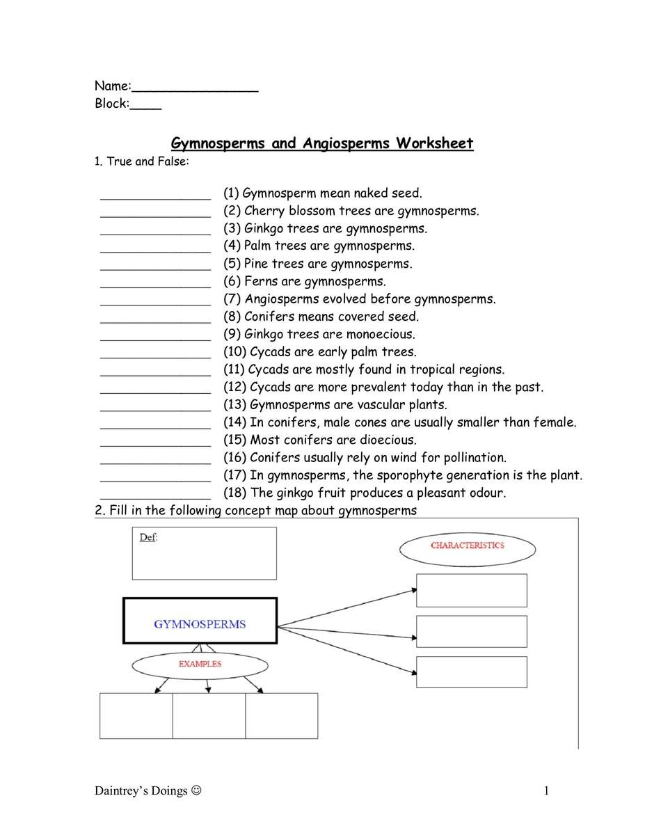 Gymnosperms And Angiosperms Worksheet Wikispaces