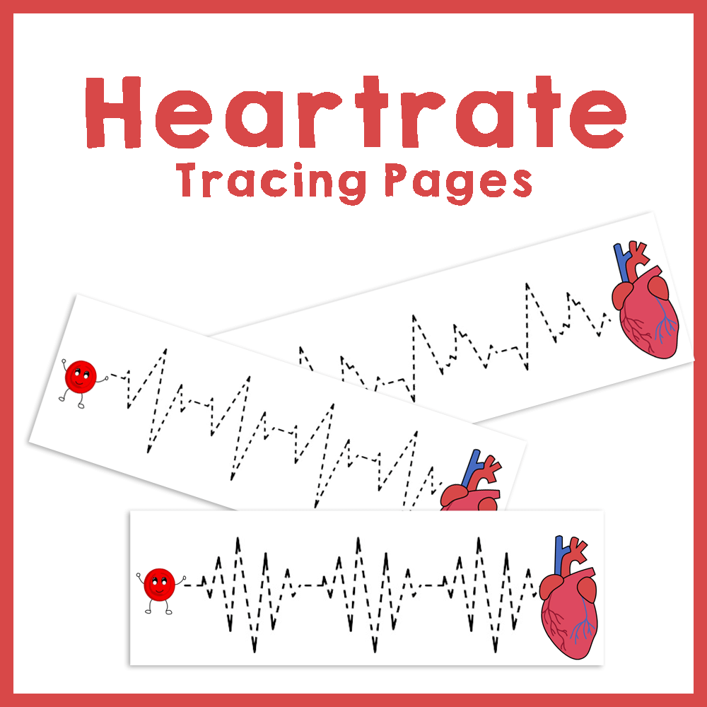 13 Heart Health Worksheets Free PDF At Worksheeto
