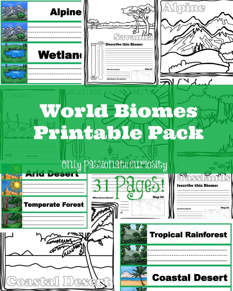 Learning About World Biomes Only Passionate Curiosity