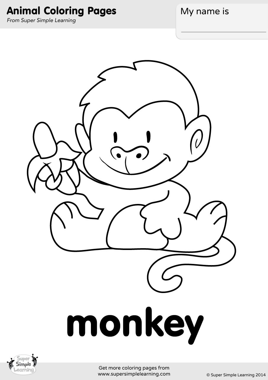 FREE Printable Monkey Life Cycle For Kids Worksheets