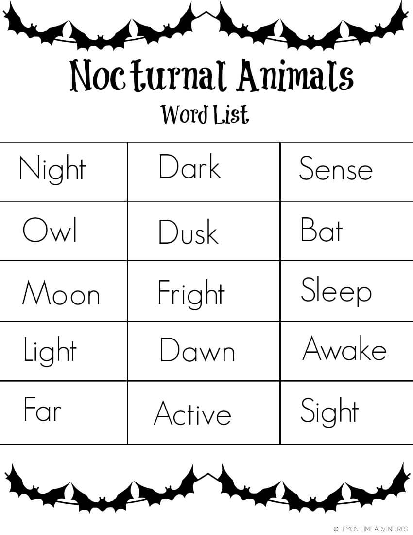 Nocturnal Animals Writing Tray With Free Printable Word List Nocturnal Animals For Kids Fun With Mama