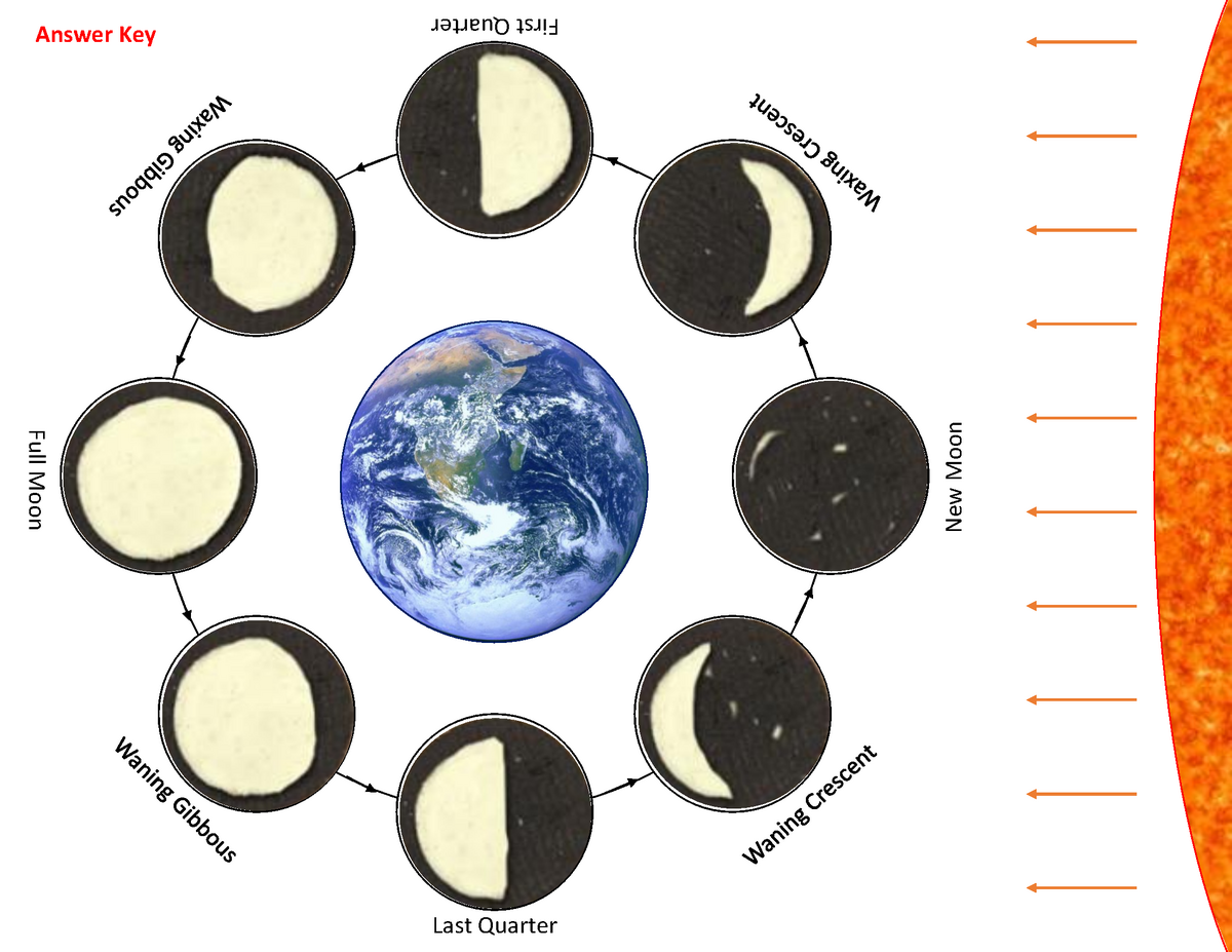 Oreo Moon Phase Activity STEM Supplies Worksheets Library Oreo Moon Phase Activity STEM Supplies Worksheets Library