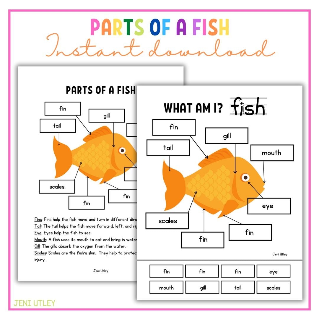Parts Of A Fish Preschool Science Etsy