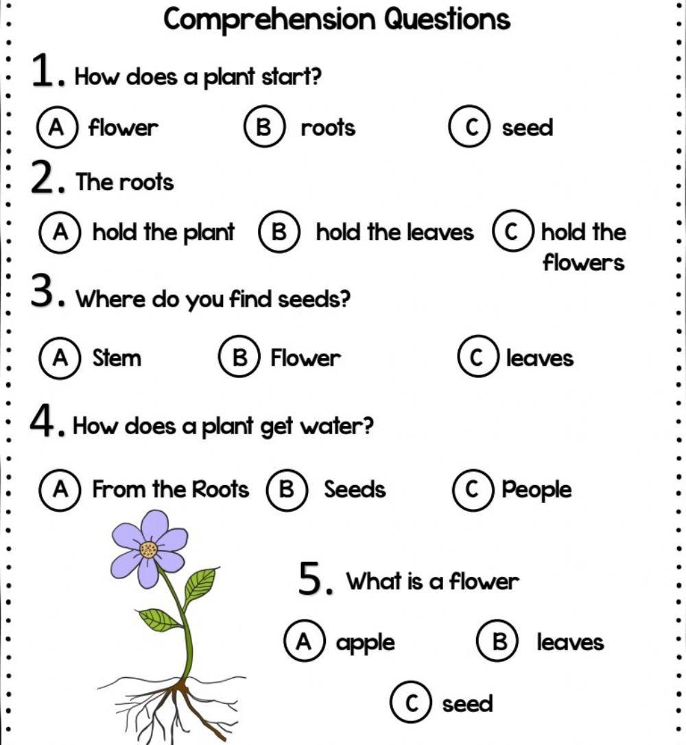 Parts Of The Plant Reading Comprehension Worksheet Worksheets Library Printable Activities Parts Of A Plant Worksheet For Kindergarten Made By Teachers