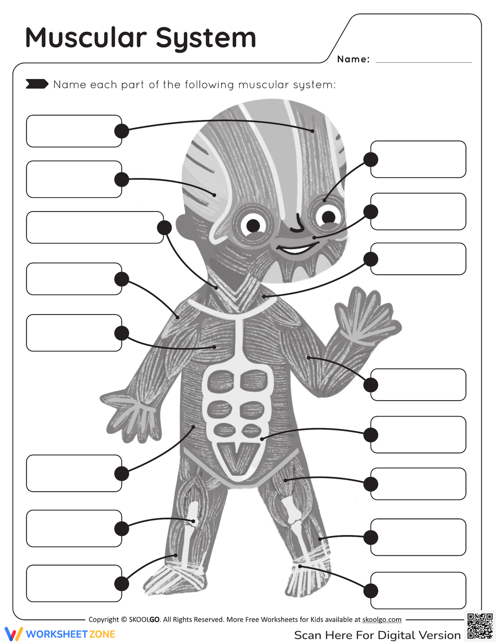 Printable 6th Grade Muscular System Worksheets Printable Muscular System Worksheets