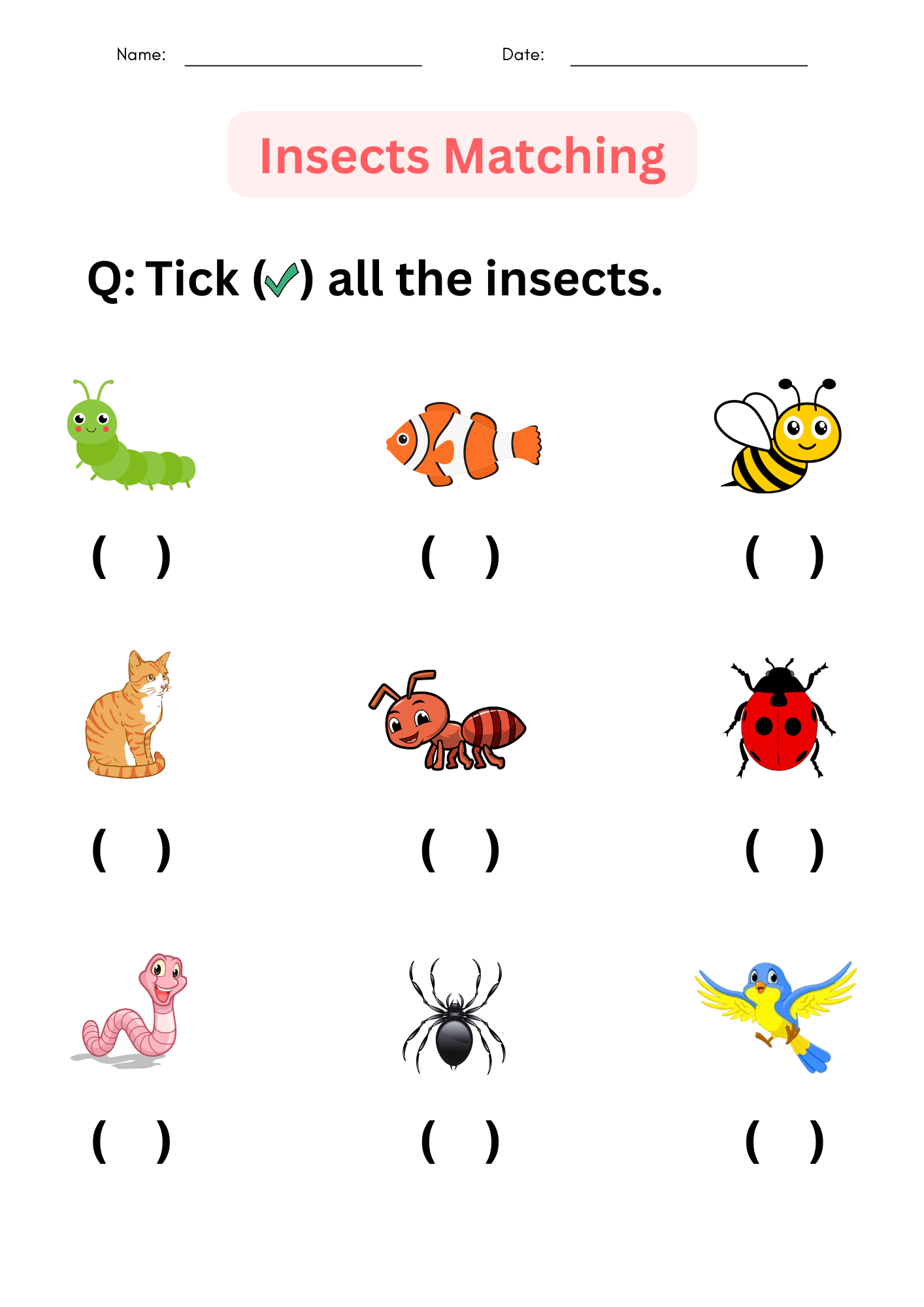 Printable Insects Worksheet For Kindergarten Identify And Matching For Grade 1 Made By Teachers Printable Insects Worksheet For Kindergarten Identify And Matching For Grade 1 Made By Teachers