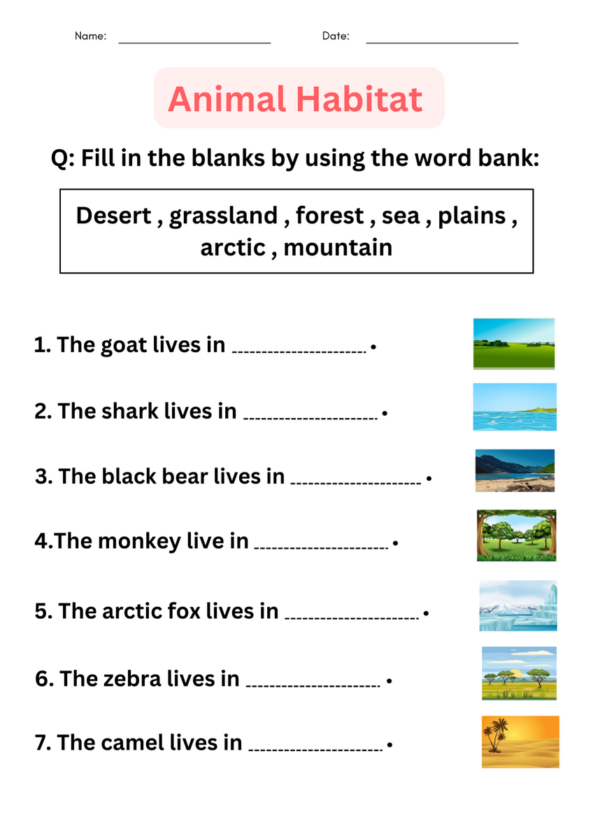 Printable Matching Activity Animal Habitats Worksheets For Grade 1 2 3 Made By Teachers Printable Matching Activity Animal Habitats Worksheets For Grade 1 2 3 Made By Teachers