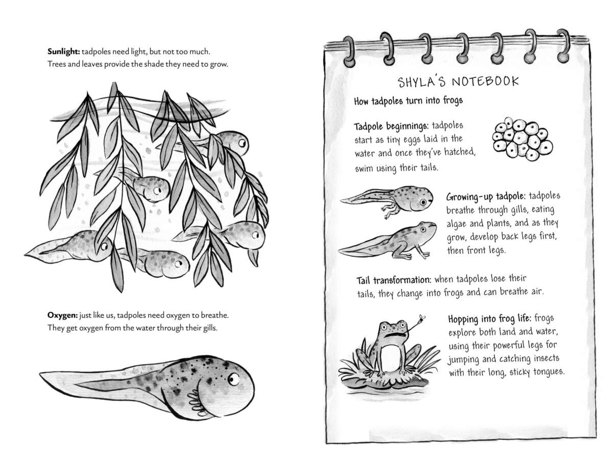 Free Printable Life Cycle Of A Fish For Kids Worksheets
