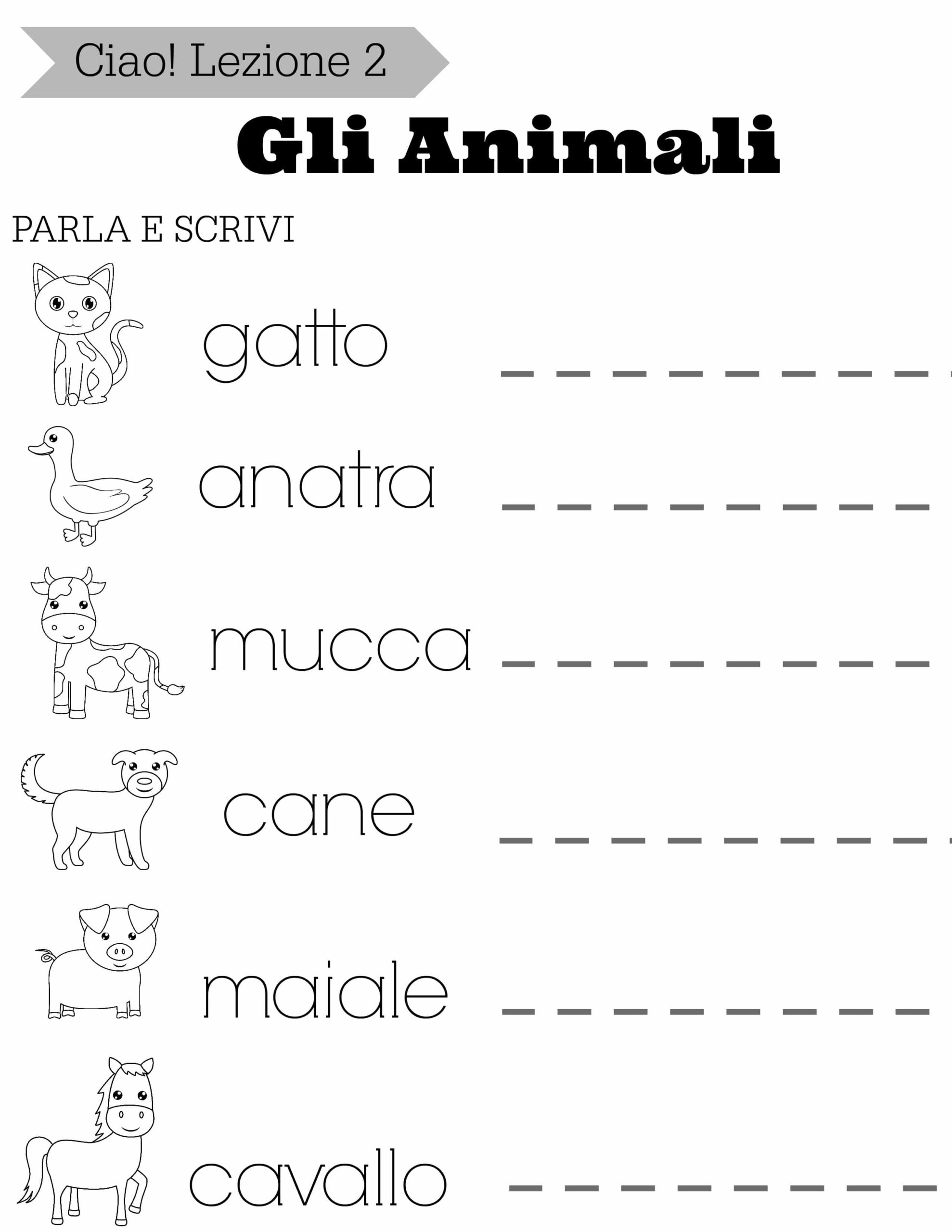 Italian Body Parts Worksheet Packet Made By Teachers