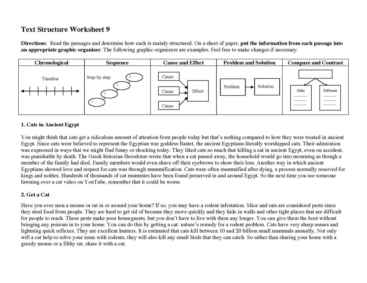 Text Structure Worksheets Reading Activities