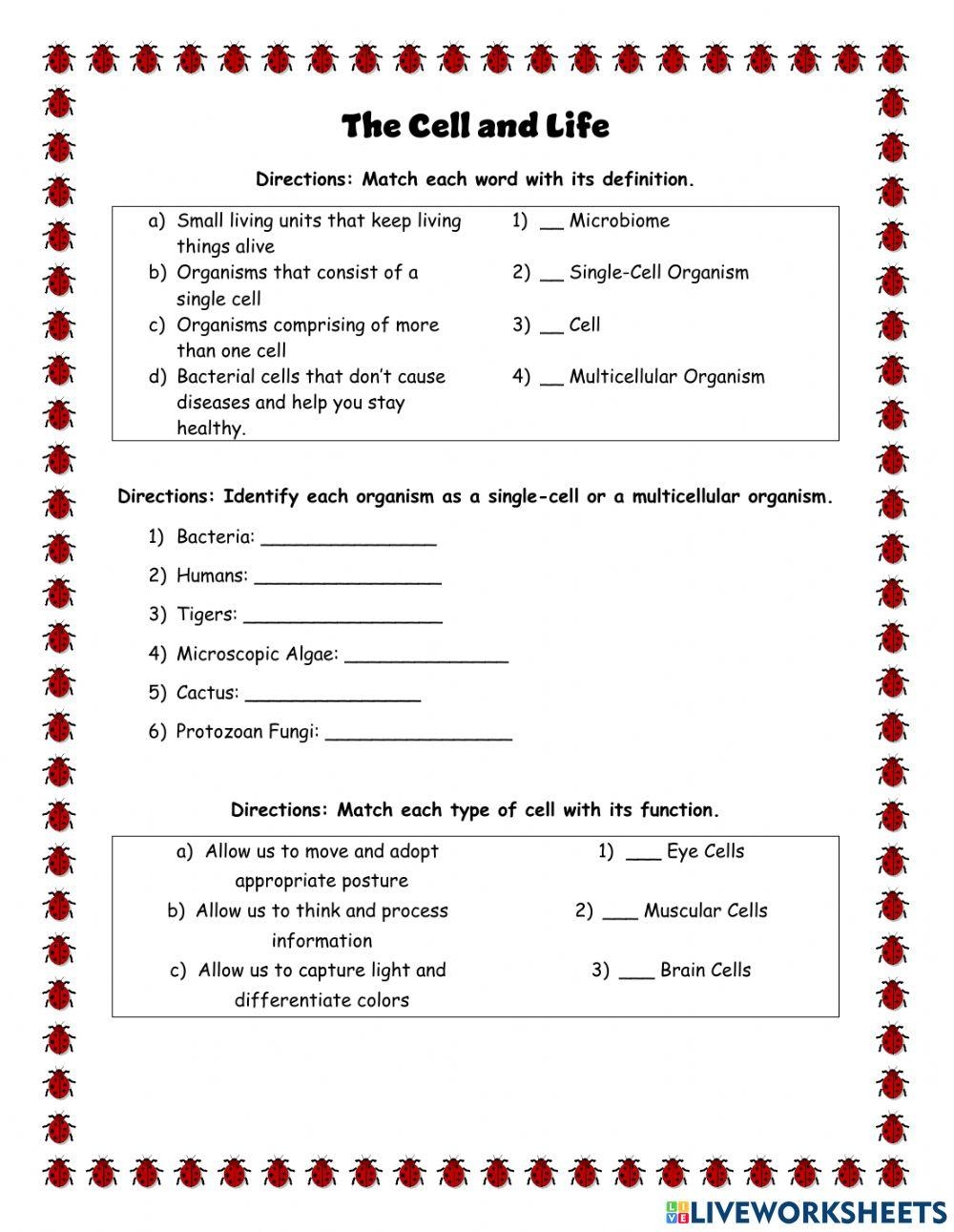 The Cell And Life Worksheet Worksheets Library
