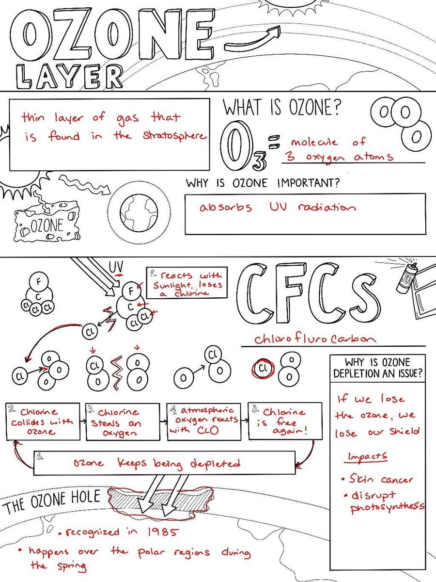 The Ozone Layer Sketch Notes By Creativity Meets Cognition TPT