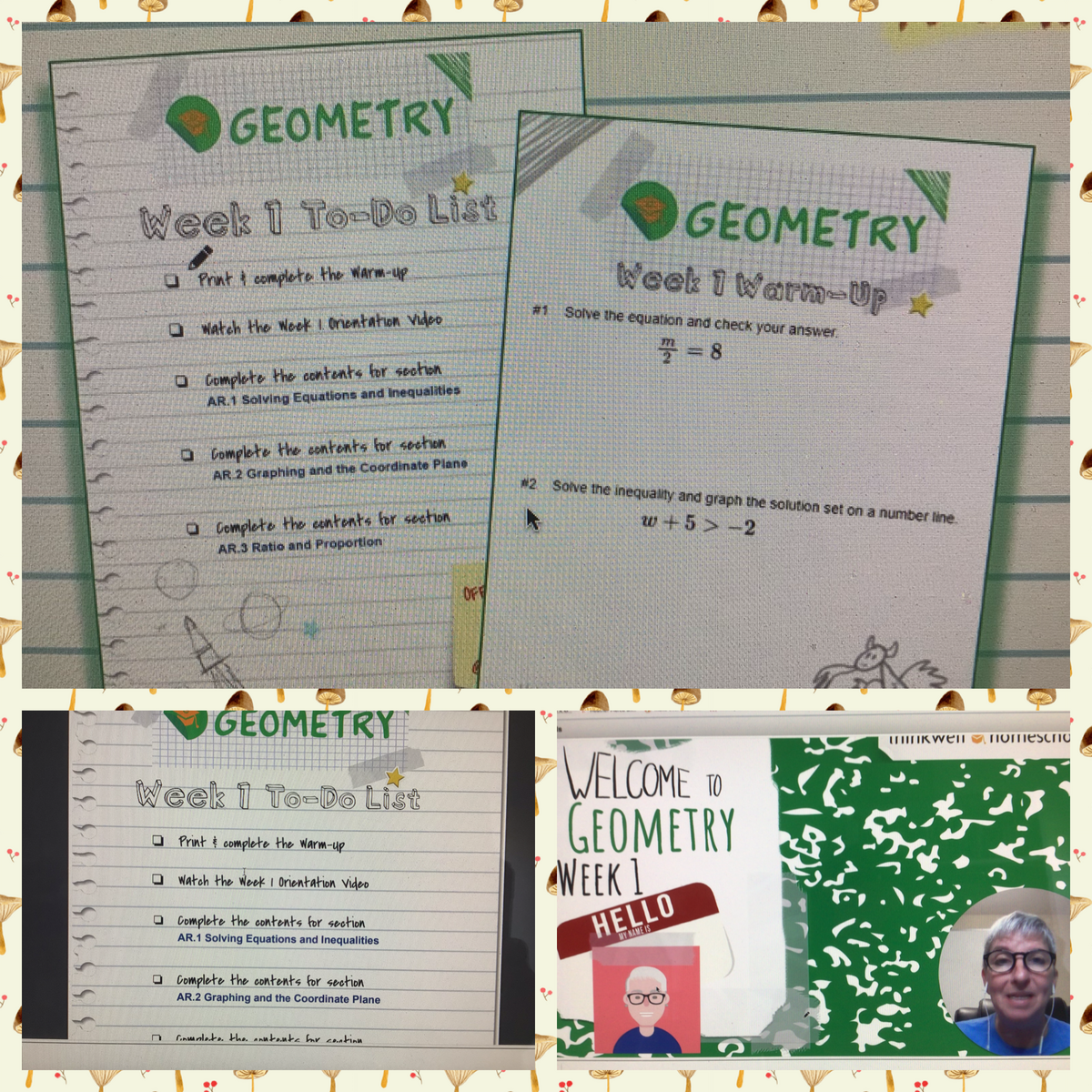 Homeschool Happenings Thinkwell A Review