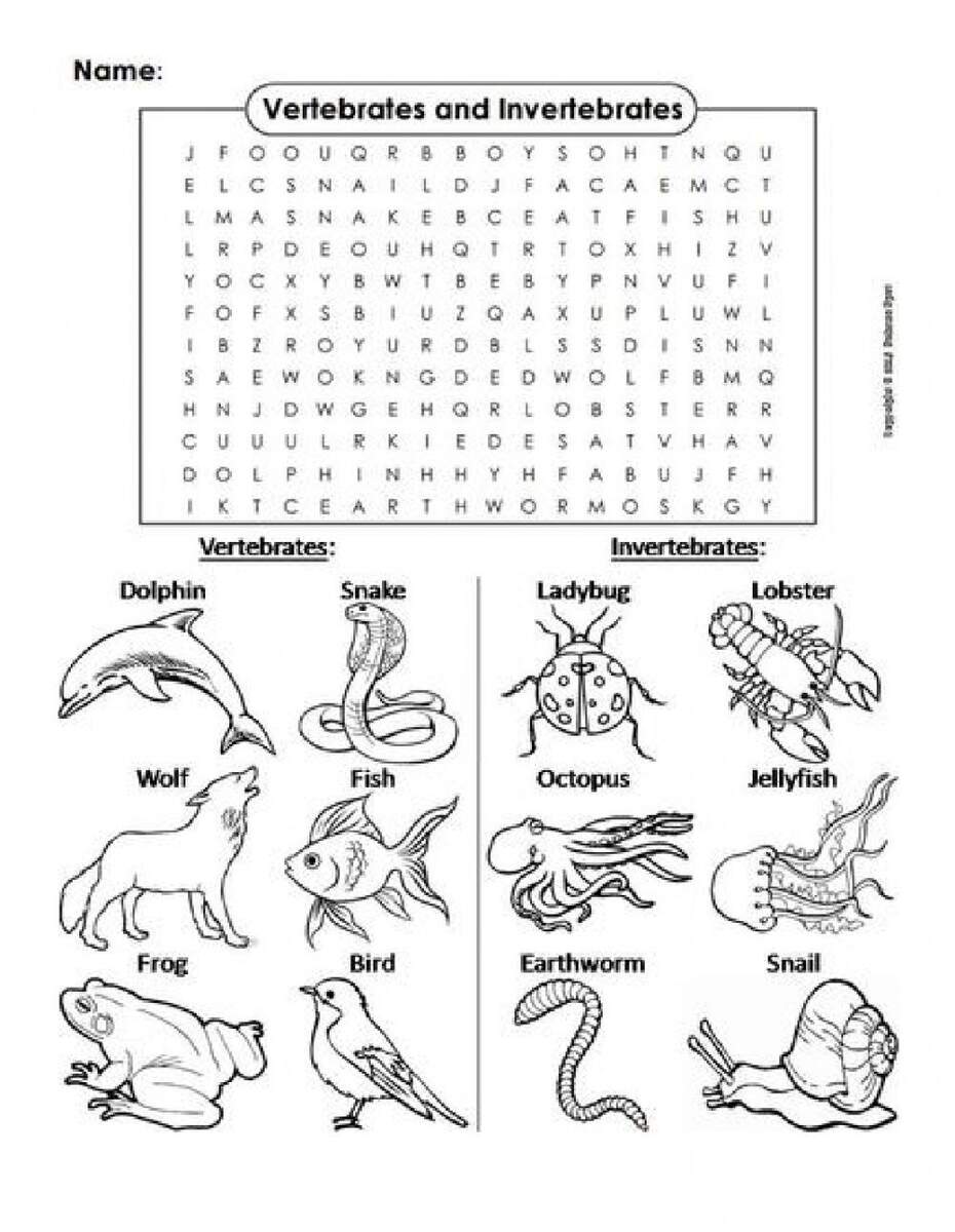 Vertebrates And Invertebrates Animals Worksheet